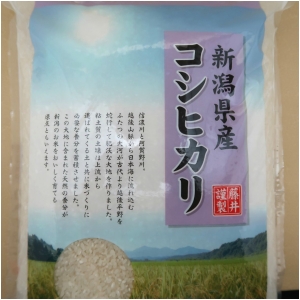 新潟県産コシヒカリ100%　5kg　新潟(株)藤井商店　末広　うるち米